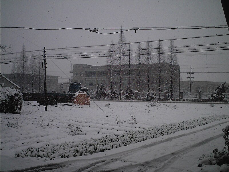 File:2008年1月26日的那场大雪 273.jpg