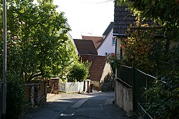 Rolloßweg in Heidelberg