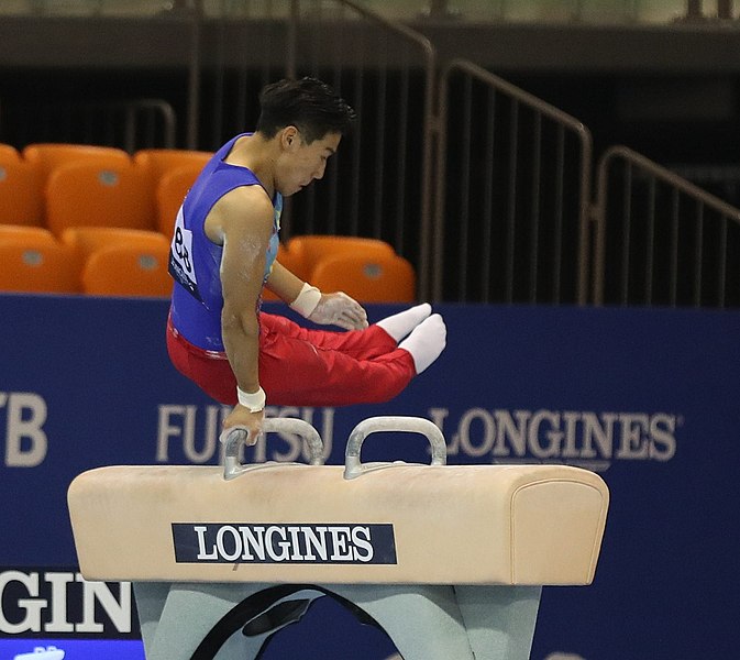 File:2019-06-27 1st FIG Artistic Gymnastics JWCH Men's All-around competition Subdivision 3 Pommel horse (Martin Rulsch) 130.jpg