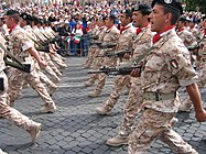 Sassari Brigade, Italian Army.