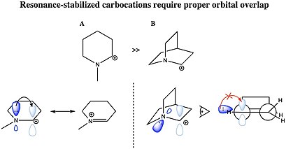 The sp2 lone pair of molecule A is oriented such that it forms sufficient orbital overlap with the empty p orbital of the carbonation to allow the formation of a p bond, sequestering the carbonation in a contributing resonance structure. The lone pair of molecule B is rotated 90deg with respect to the empty p orbital of the carbonation, demonstrated by the Newman projection (bottom right). Without proper orbital overlap, the nitrogen lone pair cannot donate into the carbocation's empty p orbital. Thus, the carbocation in molecule B is not resonance-stabilized. 5.13 final- resonance-stabalized carbocation.jpg