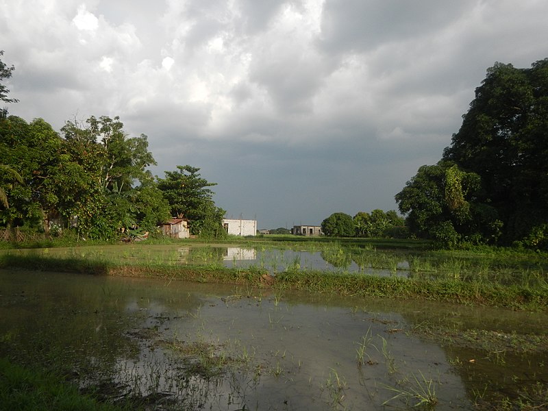 File:681Malibo Matanda Bata Farm Market Roads Pandi Bulacan 04.jpg