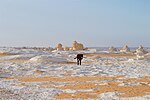 Thumbnail for File:A lost horse in the White Desert National Park.jpg