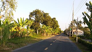 Đường qua xã Mỹ An, chạy về Phú Điền.