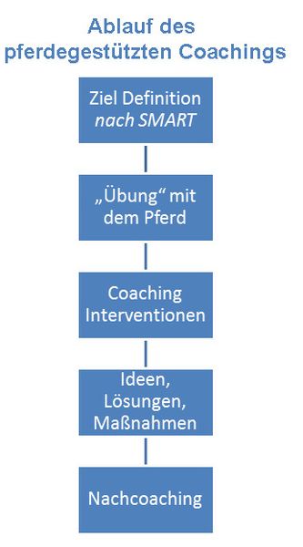 File:Ablauf pferdegestütztes Coaching k.jpg