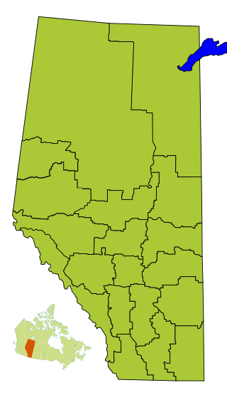 <span class="mw-page-title-main">Division No. 17, Alberta</span> Census division in Alberta, Canada