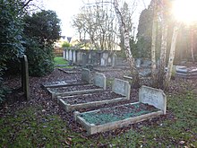 Graves in the United Synagogue Cemetery Aldershot Jewish Cemetery 2.jpg