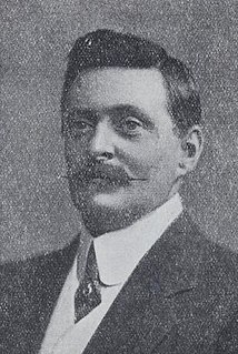 Alfred William Styles Australian politician