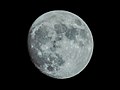 Almost Full Moon (46193636).jpg