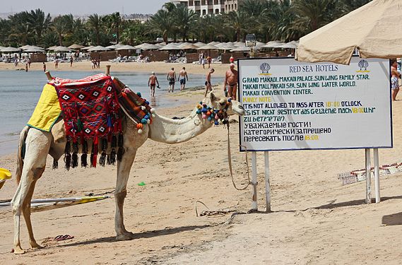 Am Strand Grand Makadi in Agypten...