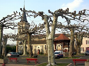 Habiter à Arengosse