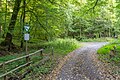 Forests near Büren