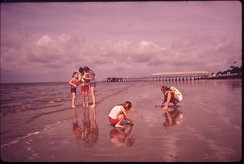 File:BEACH AT ST. SIMON'S ISLAND - NARA - 547009.jpg