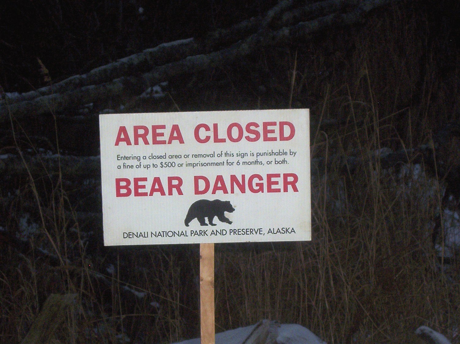 Black Bear Mauls 81-Year-Old New Jersey Woman in Her Backyard