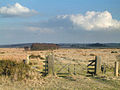 Thumbnail for Beeley Moor