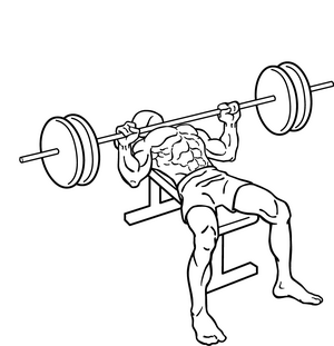 Bench-press-2.png