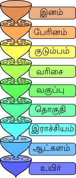 உயிரியல் குடும்பம்: லில்லி குடும்பம்