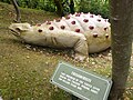 A model Triassochelys dinosaur at Blackgang Chine, a theme park on the Isle of Wight.