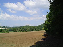 Bosco di Montefiascone