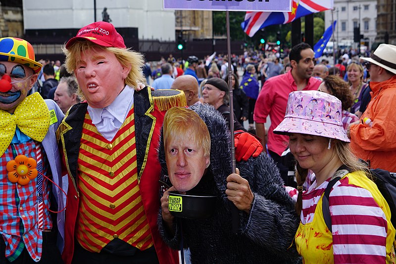 File:Brexit protest (49478839536).jpg