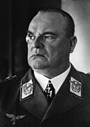 Fotografia em preto e branco de Hugo Sperrle em 1941. De uniforme, ele usa monóculo com o olho direito e tem a cruz de ferro no colarinho.