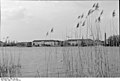 View over the river to river bank Auf dem Kiewitt Potsdam 1937