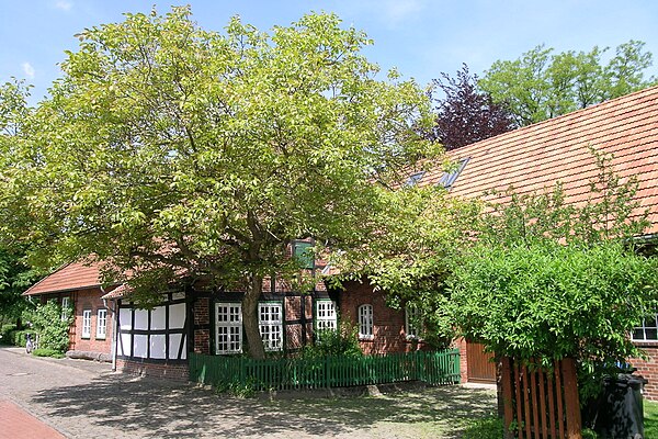 The house in which Busch was born, Wiedensahl, 2008