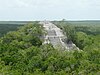 Le temple I de Calakmul, émergeant de la jungle.