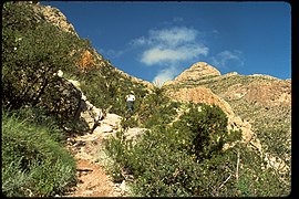 Paysage du parc.