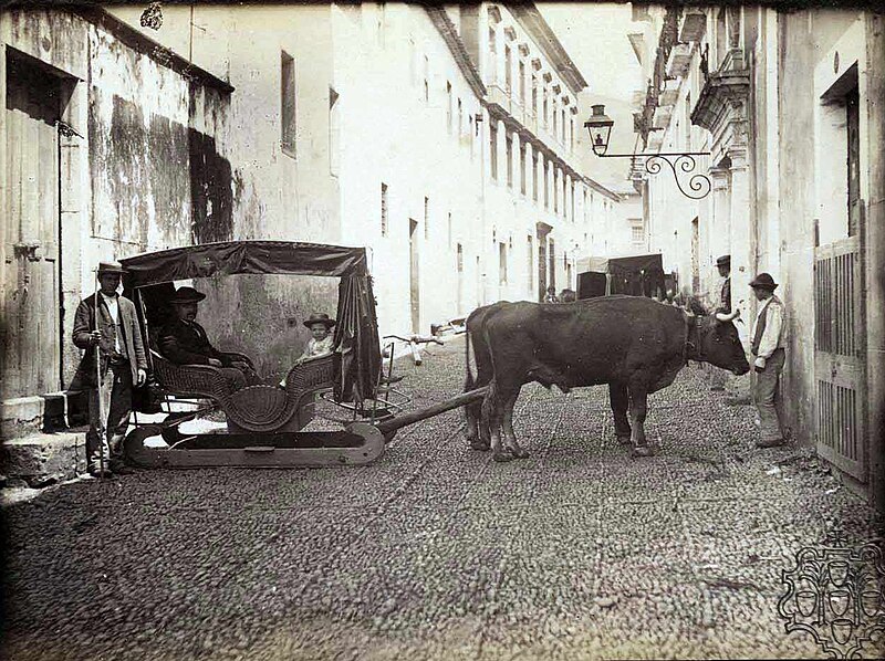 File:Carro de bois na antiga Rua do Bispo, 1900 (c.), Funchal - Image 118087.jpg