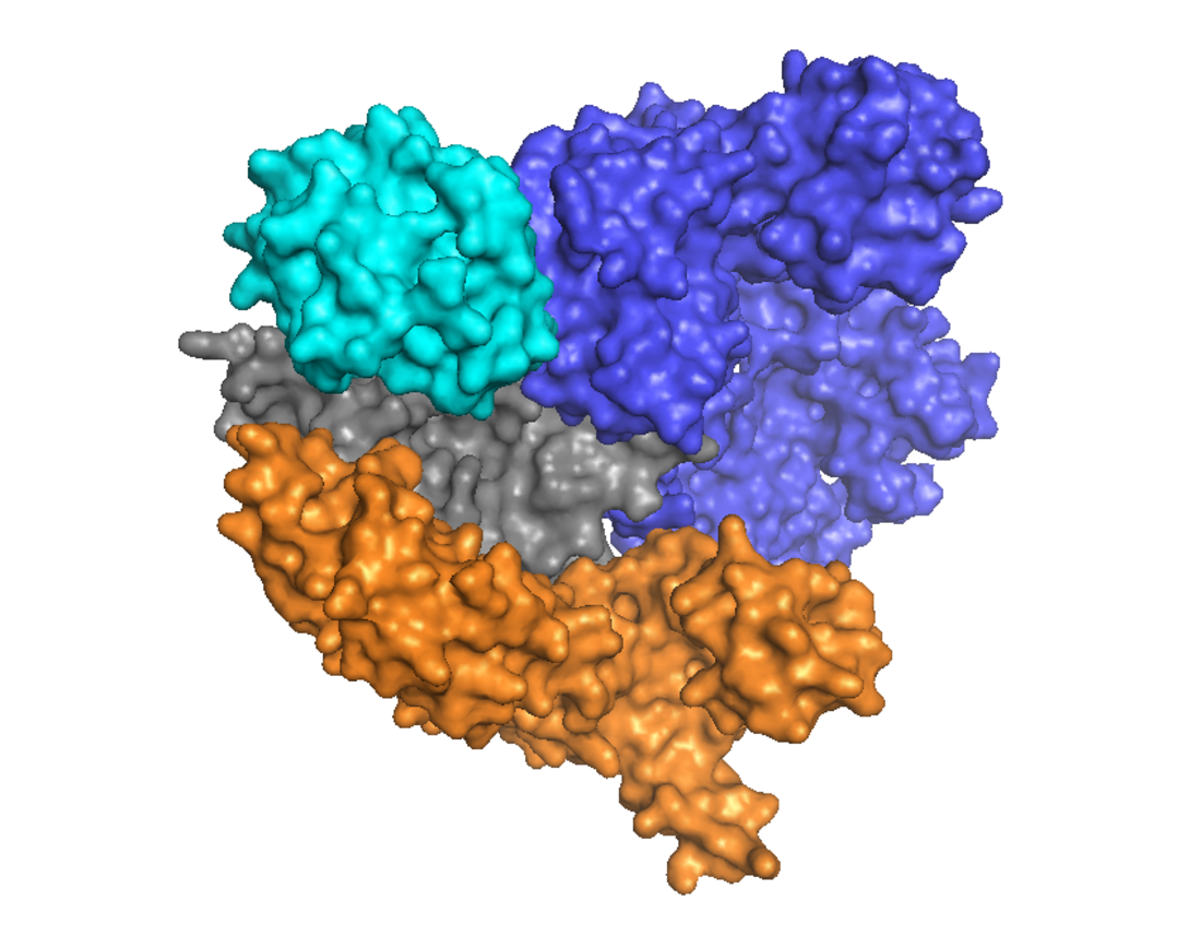 File:Cas9 Apo Structure.png