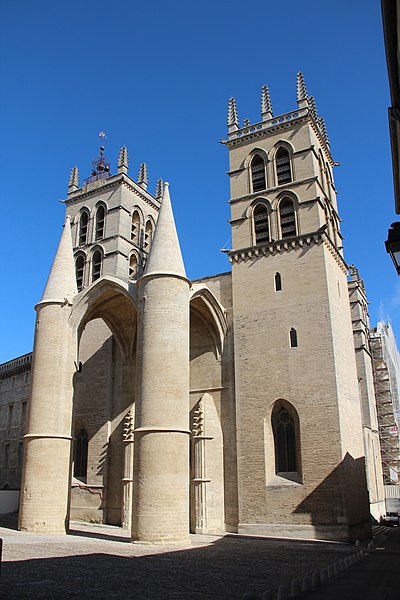 File:Cathédrale Saint-Pierre - panoramio (9).jpg