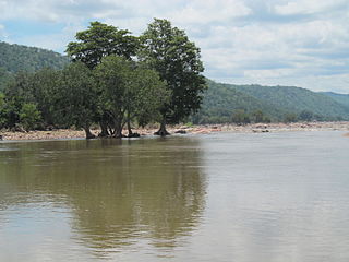 <span class="mw-page-title-main">Cauvery Wildlife Sanctuary</span> Protected area in India