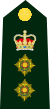Cdn-Army-Col(OF-5)-2014.svg