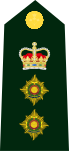 Cdn-Army-Col(OF-5)-2014.svg