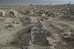 Thumbnail for Destruction of cultural heritage by the Islamic State