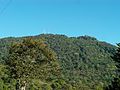 vue sur la colline verdoyante à proximité