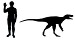Chindesaurus scale.png