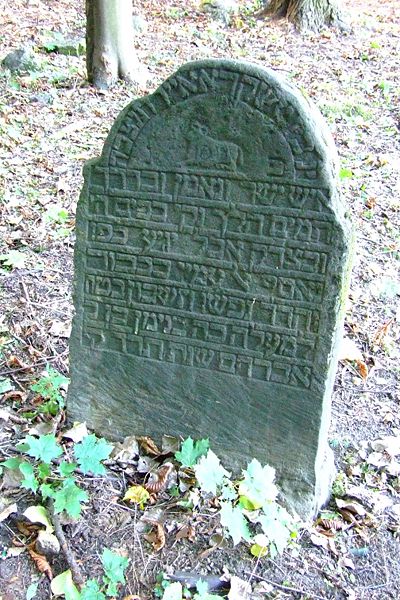 File:Cmentarz żydowski w Będzinie10.jpg