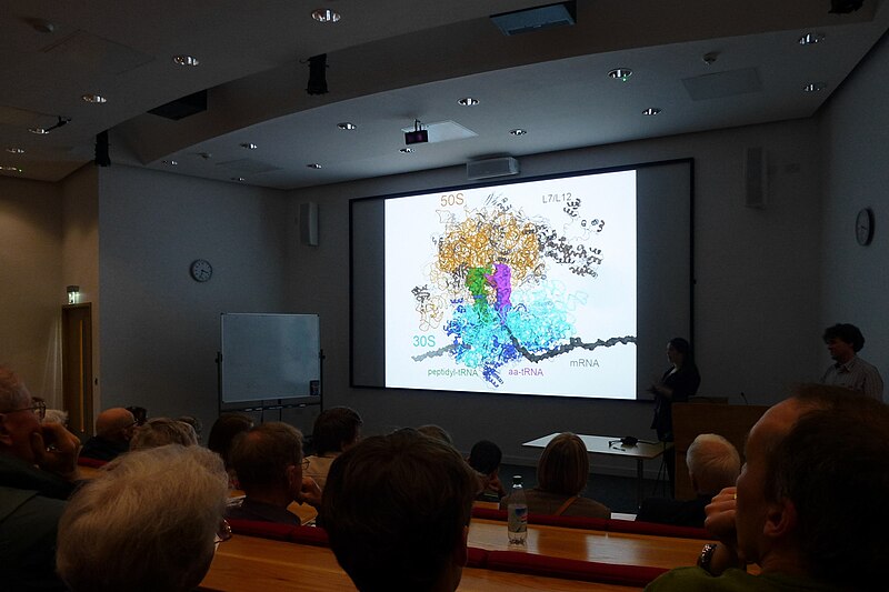 File:Cmglee Cambridge LMB lecture.jpg