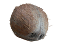 Miniatuur voor Bestand:Coconut.xcf