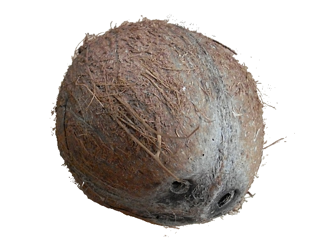 Bestand:Coconut.xcf