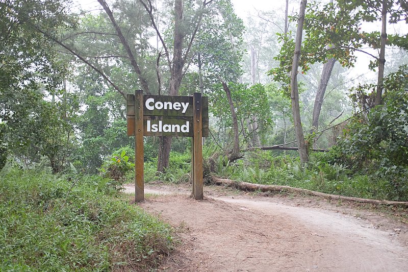 File:Coney Island Sign.jpg