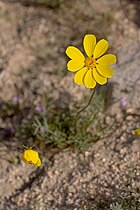 Kern County, CA