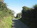Country road cresting the hill at Penrhiw - geograph.org.uk - 977554.jpg