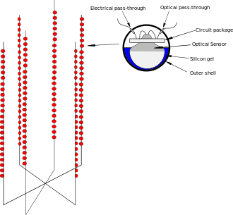 Diagram illustrating the strings of sensors and detail of one of the sensors DUMAND.svg