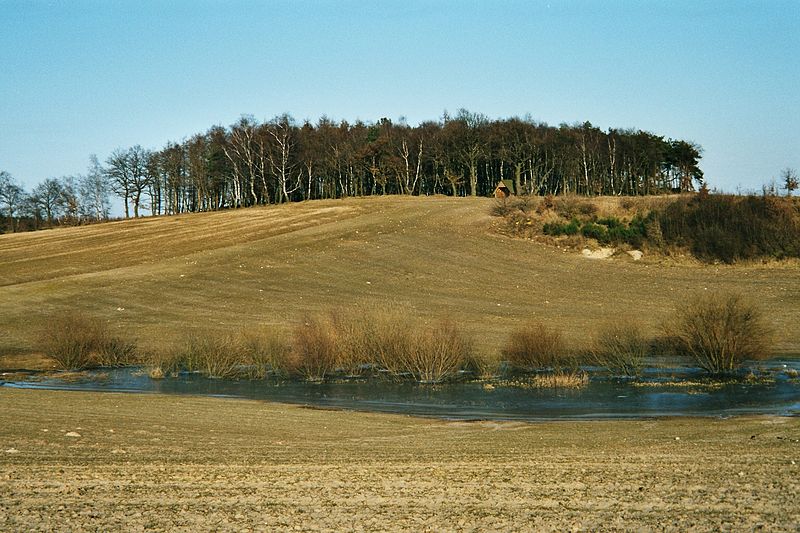 File:Dalinghausen Endmoräne.jpg