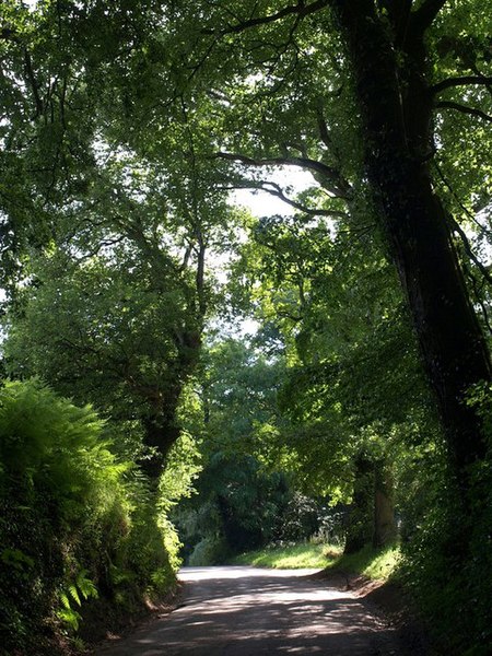 File:Danes Hill - geograph.org.uk - 1386354.jpg