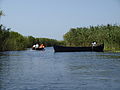 Danube Delta between tourism and traditional life!.JPG