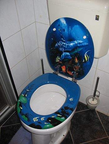 Decorative toilet seat